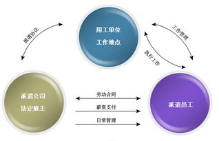 青海博维管理外包服务的联系方式 绩效管理外包 博维供